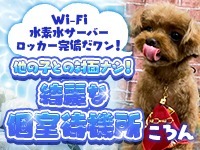 エロエロ星人で働くメリット7