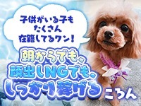 エロエロ星人で働くメリット9