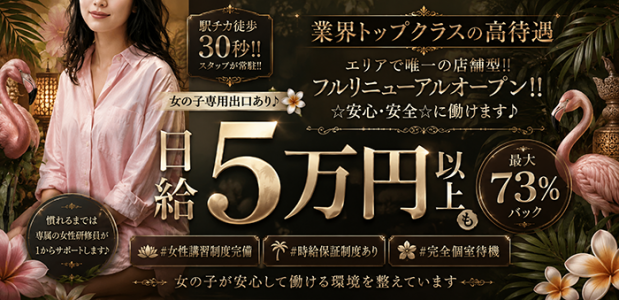 王子フラミンゴの求人画像