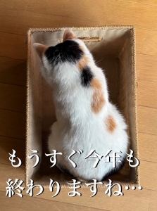 今年もありがとうございました。のアイキャッチ画像