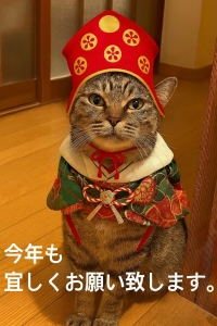 仕事始めです(*&lsquo;&forall;&lsquo;)のアイキャッチ画像