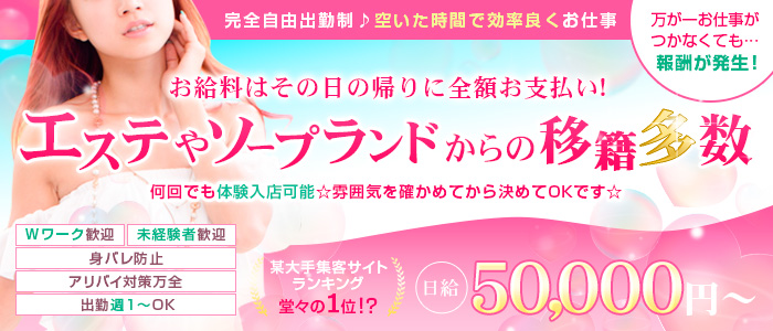 フェアリードールの未経験求人画像