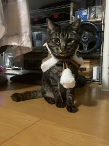 業界未経験・・・♡のアイキャッチ画像