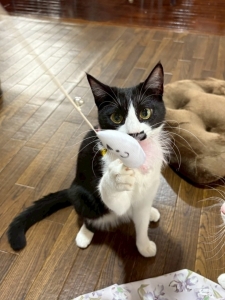 花粉症。。。🤧のアイキャッチ画像