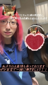 お客様から人気のオプションを紹介してください♪のアイキャッチ画像