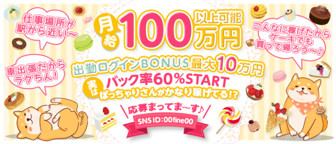 Fineのぽっちゃり求人画像
