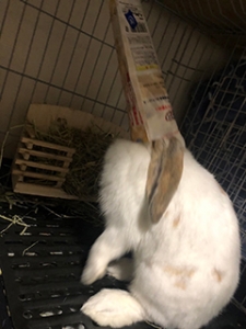 ◆最近ハマっていることはありますか？のアイキャッチ画像
