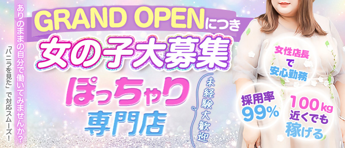 Flash宇都宮の求人情報