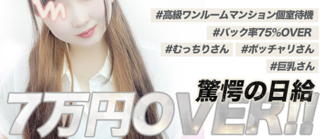 Flomary~フラマリーのぽっちゃり求人画像