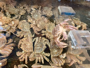 カニ味噌美味しいですよね～♪のアイキャッチ画像