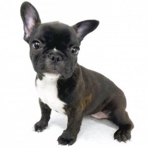 ご不安のアイキャッチ画像