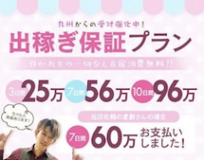 確実に稼げる保証プラン