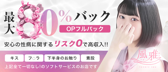 luxury spa 風雅のぽっちゃり求人画像