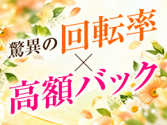 稼ぎが違います！