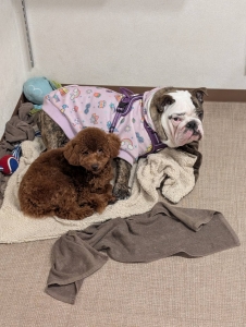 福岡か・・人吉か・・はたまた鹿児島か・・・ｗｗｗのアイキャッチ画像