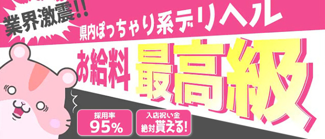 ぽちゃチャンネルのぽっちゃり求人画像