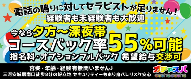 ガチャスパのぽっちゃり求人画像