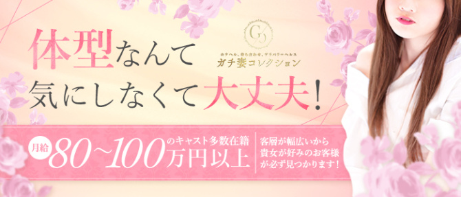 ガチ妻コレクションのぽっちゃり求人画像