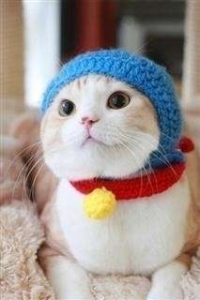 気のないNG男性からのアプローチを賢く断るコツまとめのアイキャッチ画像