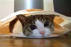 「都合のいい女」としか思っていなかった女性が、いつしか「本命」に変わっていた理由９パターンのアイキャッチ画像