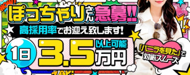 大垣羽島安八ちゃんこ(大垣)の求人情報