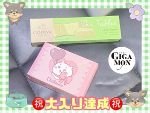 ㊗️大入り達成ーーー❗👏🏻✨✨㊗️🆕新人ちゃん🔰✨今月怒涛の採用ラッシュ予定です🍀のアイキャッチ画像