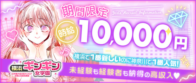 ギンギン女学園のぽっちゃり求人画像