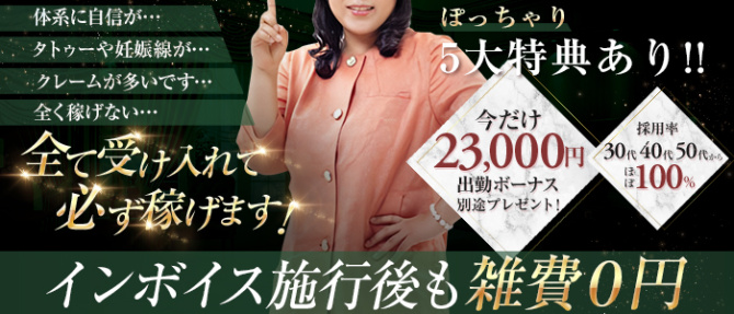 ギン妻パラダイスグループ(ミナミエリア)のぽっちゃり求人画像