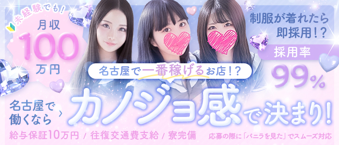 逆セーラー服しか勝たんカノジョ感錦店の求人画像