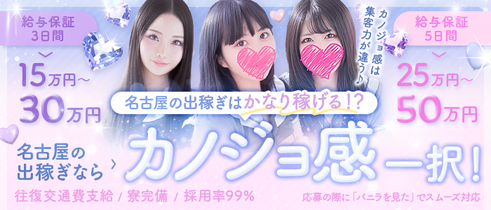 逆セーラー服しか勝たんカノジョ感錦店の求人画像