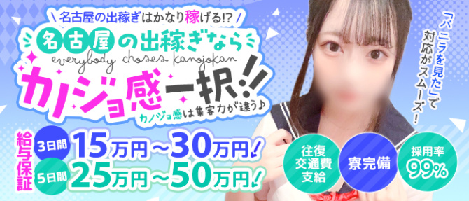 逆セーラー服しか勝たんカノジョ感錦店のぽっちゃり求人画像