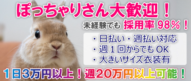 ガールズライブ 池袋店のぽっちゃり求人画像