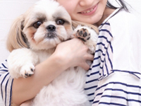 ガールズファンタジー(GIRLS FANTASY)の宿泊施設画像3