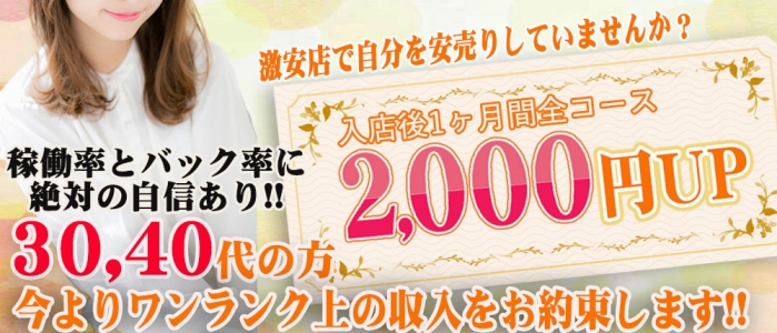 極上の妻たちの求人画像