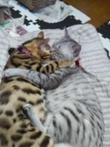 ☆身バレ対策徹底してます☆のアイキャッチ画像