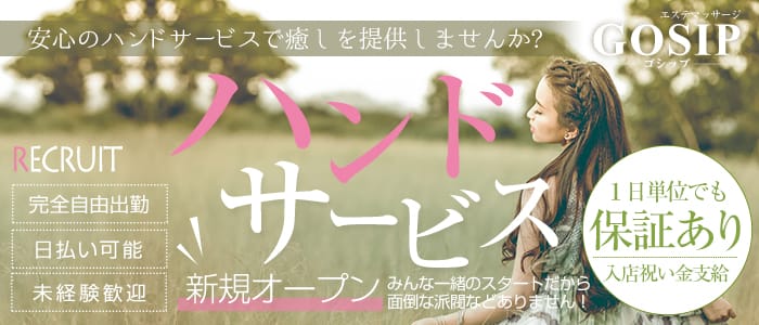 GOSIP(ゴシップ)