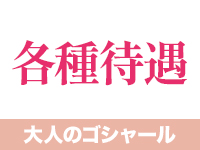 大人のゴシャールで働くメリット3