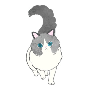 面接を受けた日から稼げますのアイキャッチ画像