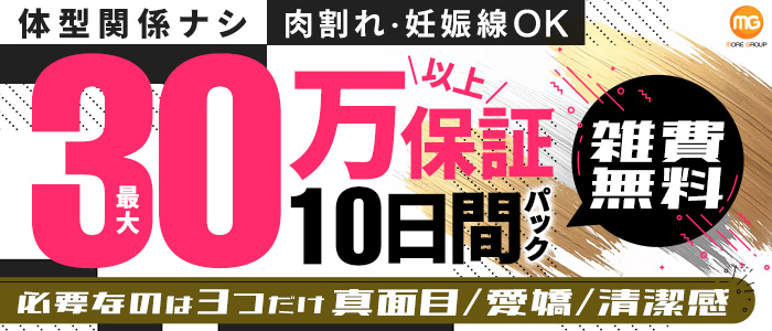 五反田人妻城（モアグループ）のぽっちゃり求人画像
