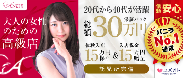 銀座アネージュ(ユメオト)の人妻・熟女求人画像