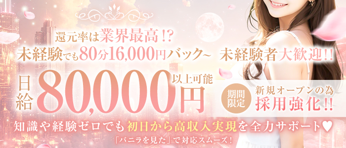 白昼夢の未経験求人画像