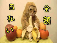 完熟ばなな横浜で働くメリット4