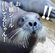 ★「人は&ldquo;正しさ&rdquo;より&ldquo;安心&rdquo;で動く」のアイキャッチ画像