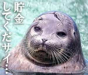 ★「人に期待しすぎると、自分が苦しくなる」のアイキャッチ画像