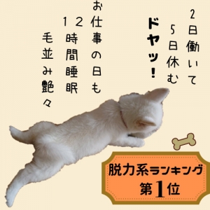 完全個室待機で人間関係の不安一切ナシ☆のアイキャッチ画像