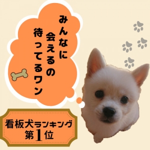 簡単アクセス！新橋駅より徒歩2分！のアイキャッチ画像