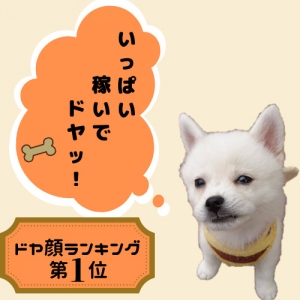 New!!【セクハラ講習100%ありませんっ!!】のアイキャッチ画像