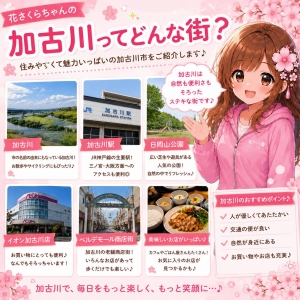 🌸加古川ってどんな街？🌸のアイキャッチ画像