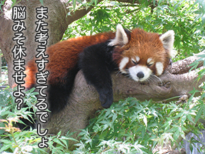 ★「気分が落ち込んだ日はどう過ごすのがいいですか？」のアイキャッチ画像