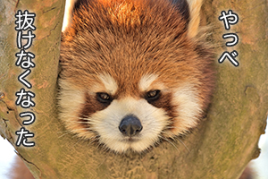 ★「集中力を上げるコツってありますか？」のアイキャッチ画像